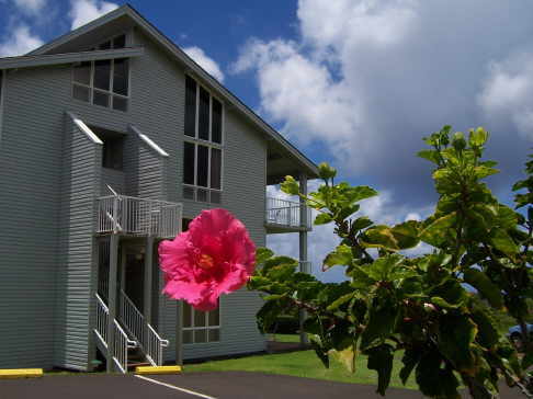 Photo of building exterior and stairs.