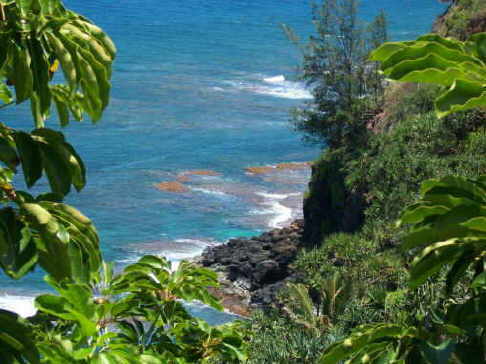 Reef View from The Cliffs at Princeville on Kauai.